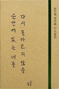 다시 돌아오지 않을 순간에 있는 너를 - 늘리혜 세번째 시소설집 (커버이미지)