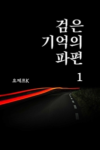 검은 기억의 파편 1 (커버이미지)