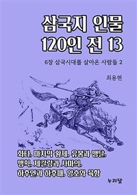 삼국지 인물 120인전 13 (6장 삼국시대를 살아온 사람들 2) (커버이미지)