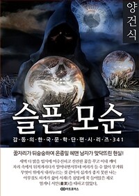 양건식 슬픈 모순 (커버이미지)