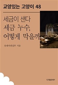 세금이 샌다 세금 누수, 어떻게 막을까 (커버이미지)