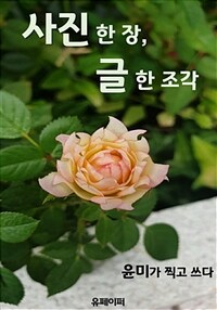 사진 한 장, 글 한 조각 (커버이미지)