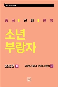 소년 부랑자 (커버이미지)