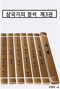 삼국지의 정석 제3권 - 정사에 가까운 삼국지 (커버이미지)