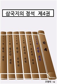 삼국지의 정석 제4권 - 정사에 가까운 삼국지 (커버이미지)