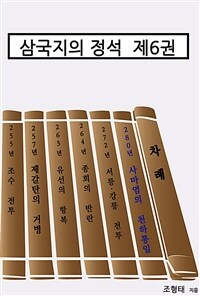 삼국지의 정석 제6권 - 정사에 가까운 삼국지 (커버이미지)