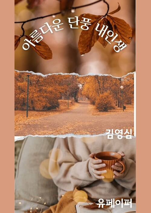 아름다운 단풍 내인생 (커버이미지)