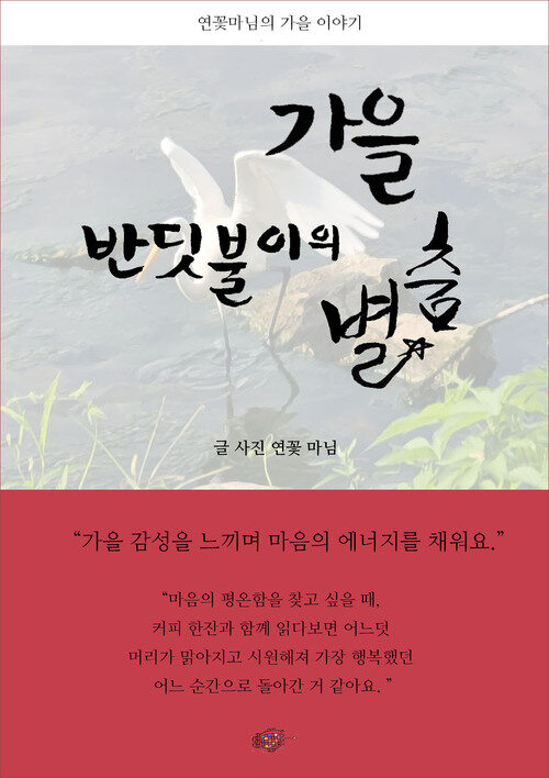 가을 반딧불이의 별춤 (커버이미지)