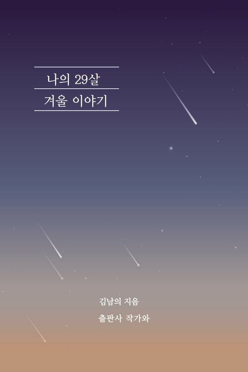 나의 29살 겨울 이야기 (커버이미지)