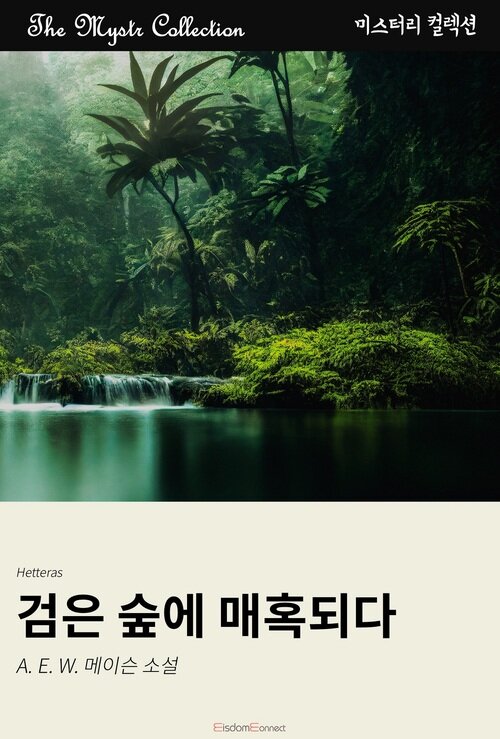 검은 숲에 매혹되다 (커버이미지)