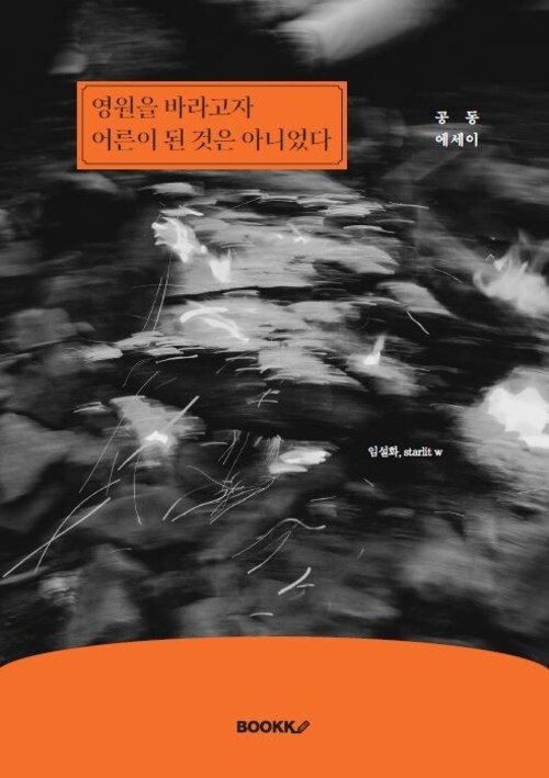 영원을 바라고자 어른이 된 것은 아니었다 (커버이미지)