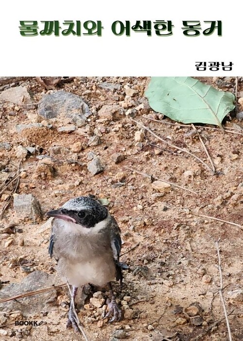 물까치와 어색한 동거 (커버이미지)