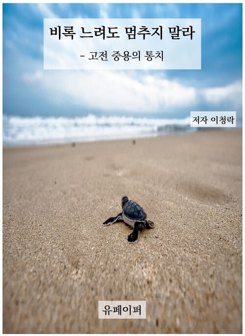 비록 느려도 멈추지 말라 - 고전 중용의 통치 (커버이미지)