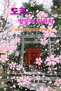 도쿄.. 벚꽃에 취하다 - 도쿄 벚꽃시즌의 아름다운 신사들 (커버이미지)