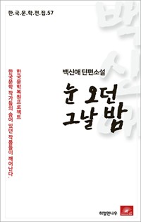 백신애 단편소설 눈 오던 그날 밤 (커버이미지)