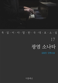광염 소나타 - 꼭 읽어야 할 한국 대표 소설 17 (커버이미지)
