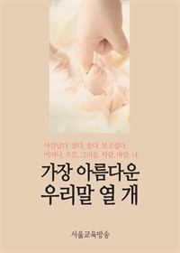 가장 아름다운 우리말 열 개 : 고종석의 문장을 읽으며 (커버이미지)