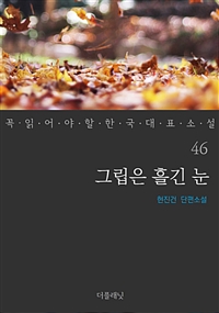 그립은 흘긴 눈 - 꼭 읽어야 할 한국 대표 소설 46 (커버이미지)