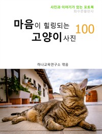 마음이 힐링되는 고양이 사진 100 (커버이미지)