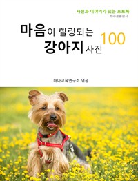 마음이 힐링되는 강아지 사진 100 (커버이미지)