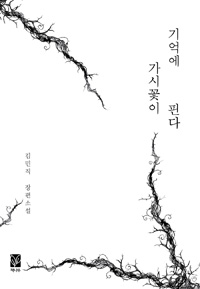 기억에 가시꽃이 핀다 (커버이미지)