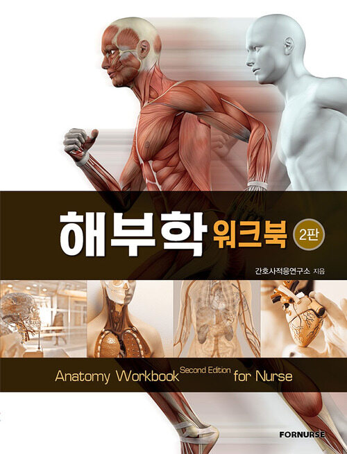 해부학 워크북 - 2판 (커버이미지)
