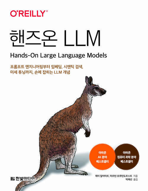 핸즈온 LLM - 프롬프트 엔지니어링부터 임베딩, 시맨틱 검색, 미세 튜닝까지, 손에 잡히는 LLM 개념 (커버이미지)