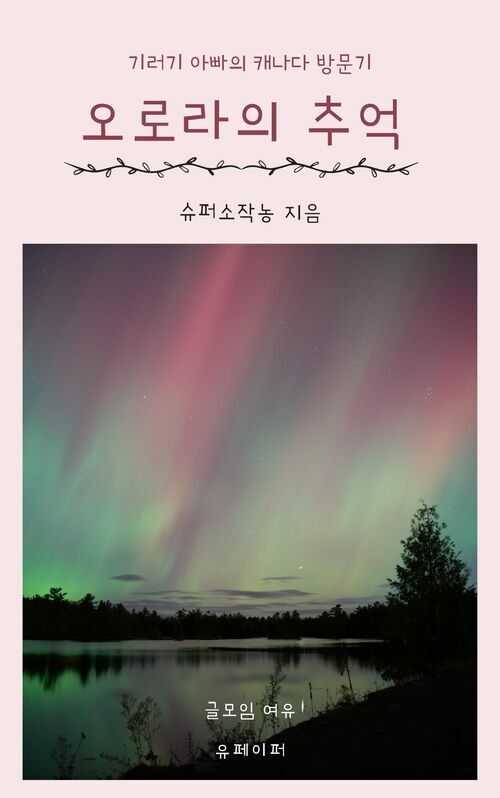 오로라의 추억 - 기러기 아빠의 캐나다 방문기 (커버이미지)