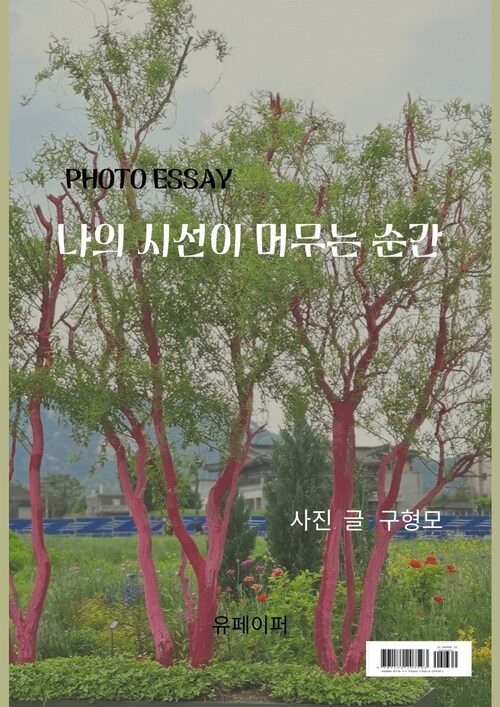 나의 시선이 머무는 순간 - 있는 모습 그대로 (커버이미지)