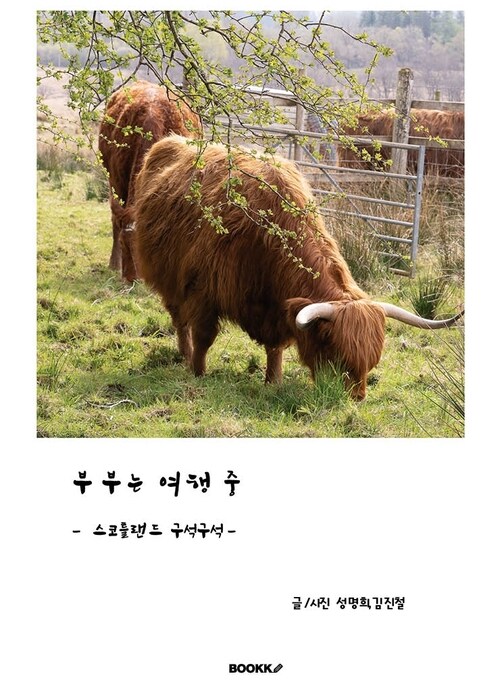 부부는 여행중 - 스코틀랜드 구석구석 (커버이미지)