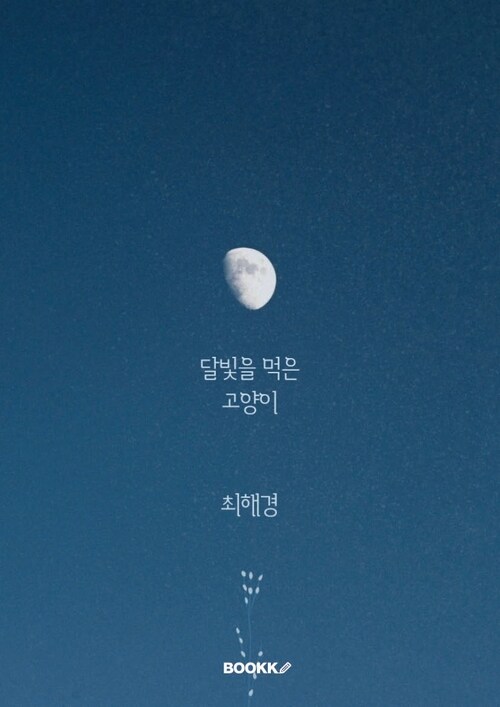 달빛을 먹는 고양이 - 진짜 힘은 조용히 나누는 마음에서 온다 (커버이미지)